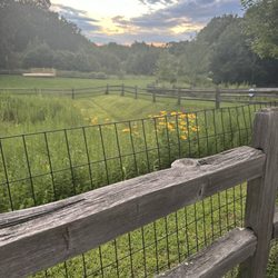 Late Summer