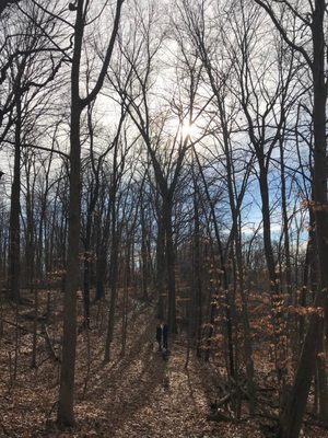 Maybury State Park by null
