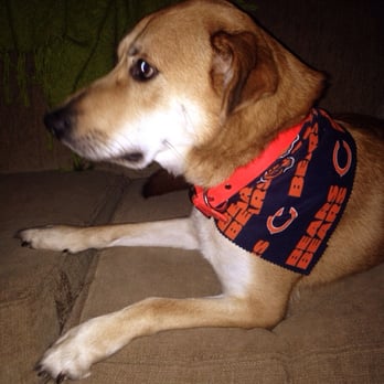 At Your Bark-N-Call - Pet Groomers Near Me - Crown Point, Indiana