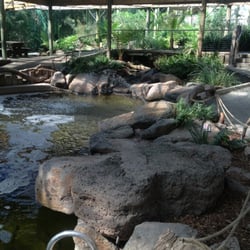 Rhyll Trout & Bush Tucker Farm