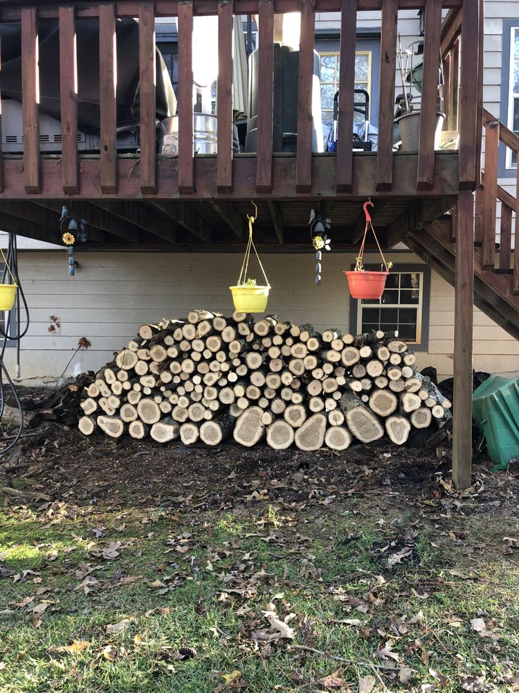 Forest Tree Care - tree service in Atlanta, GA