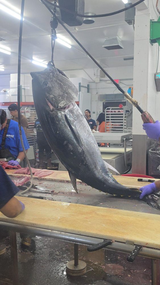 FISHERMAN’S PROCESSING Updated September 2024 52 Photos & 64