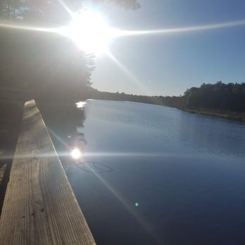 Tahquamenon Falls State Park - Gorgeous river view - Parks Near Me - Paradise, Michigan