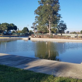 Los Gatos Creek County Park - Casting Ponds - Fishing Near Me - Campbell, California Los Gatos Creek County Park - Casting Ponds - Fishing Near Me - Campbell, California