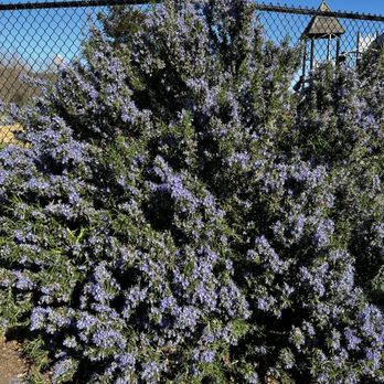Magic Mountain Playground - Parks Near Me - San Mateo, California