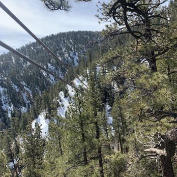 Ziplines at Pacific Crest - Zip line picture - Ziplining Near Me - Wrightwood, California Ziplines at Pacific Crest - Zip line picture - Ziplining Near Me - Wrightwood, California