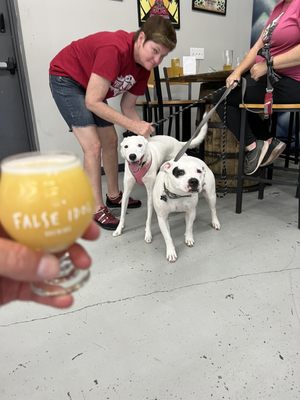 False Idol Brewing by null