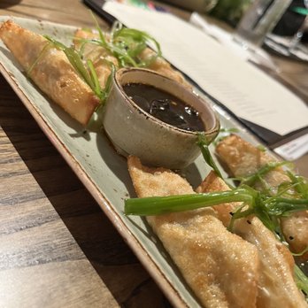Boku Kitchen + Saloon - Pork Potstickers - Pan Asian Near Me - Columbia, South Carolina Boku Kitchen + Saloon - Pork Potstickers - Pan Asian Near Me - Columbia, South Carolina