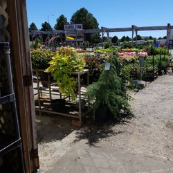 The Flower Farm