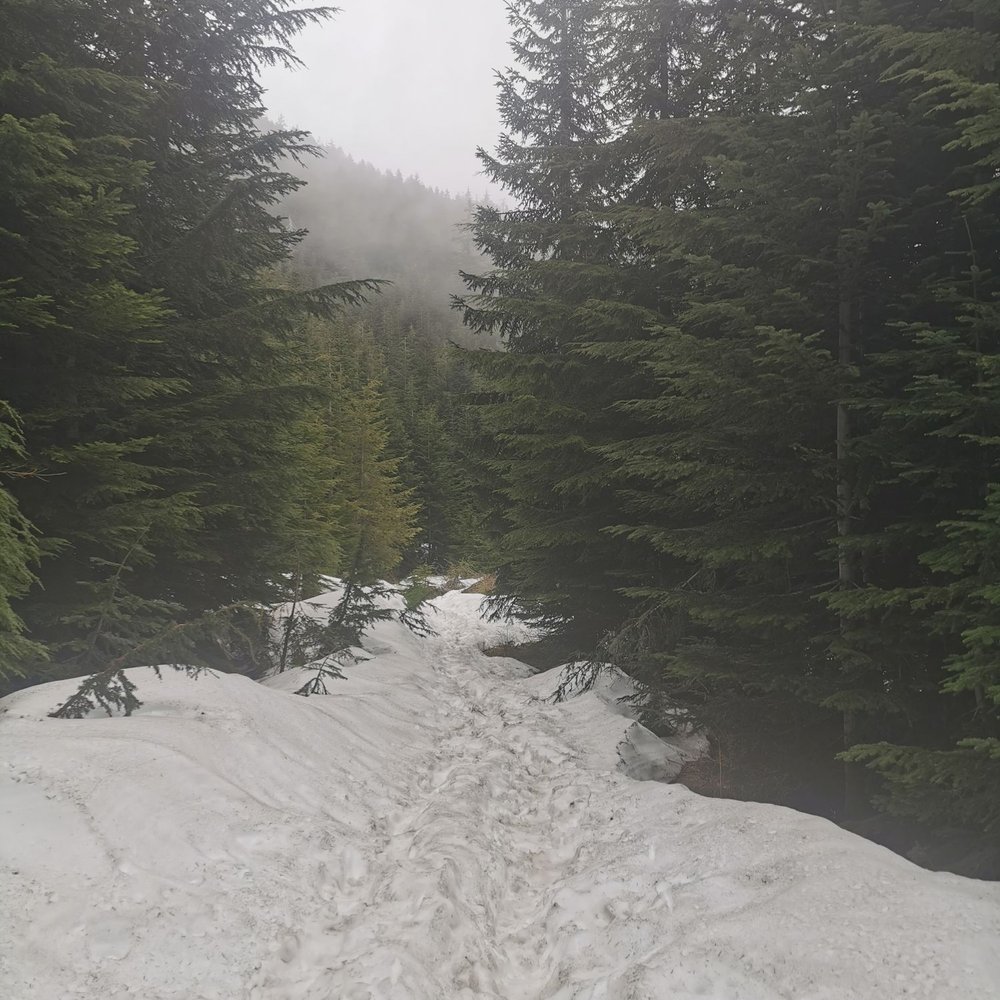 Mount Si - Parks Near Me