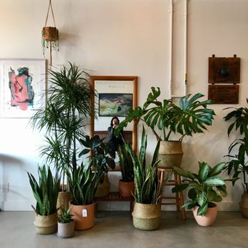 SACHI.LA - Coffee & Tea Near Me - Los Angeles, California SACHI.LA - Coffee & Tea Near Me - Los Angeles, California