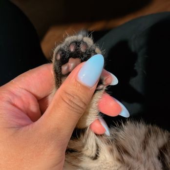Sarah's Nail & Spa - Obsessed with this color. - Nail Salons Near Me - Seattle, Washington