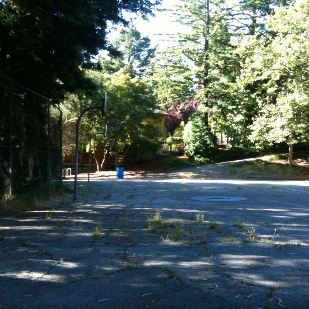 Terrace View Park - Basketball courts - Parks Near Me - Berkeley, California