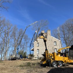 Martin's Tree Service