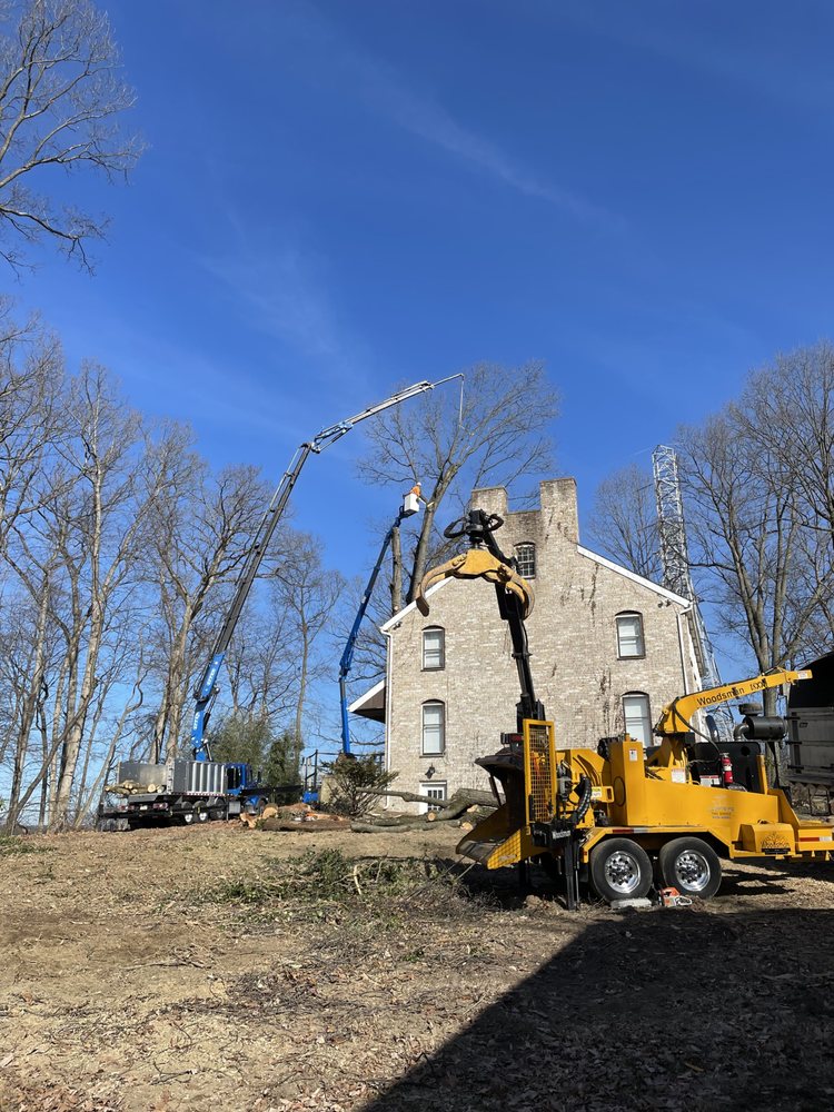 Martin's Tree Service - tree service in Hummelstown, PA