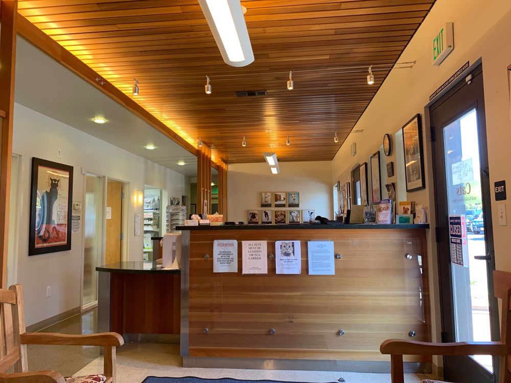 ABBEY PET HOSPITAL 32 Photos & 168 Reviews Veterinarians 11070