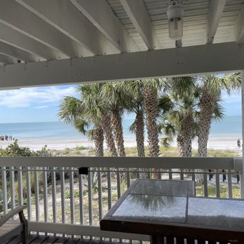 Seaside Seabird Sanctuary - Animal Shelters Near Me - Indian Shores, Florida Seaside Seabird Sanctuary - Animal Shelters Near Me - Indian Shores, Florida
