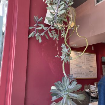 Colada Shop - Inside - Coffee & Tea Near Me - Washington, DC, District of Columbia