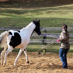 Brushy Creek Ranch