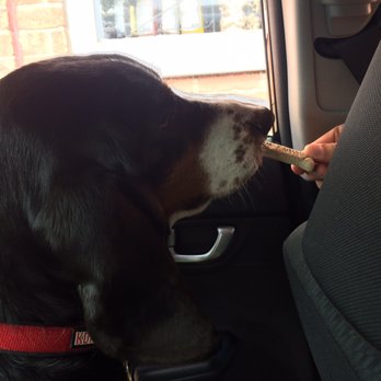 New Grounds Coffee House - Gave our dog a treat in the drive through! - Coffee & Tea Near Me - Hilliard, Ohio