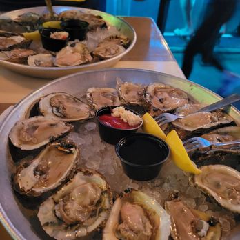 Starboard Raw - Delaware Bay Oysters (Happy Hour special!) - American Near Me - Dewey Beach, Delaware Starboard Raw - Delaware Bay Oysters (Happy Hour special!) - American Near Me - Dewey Beach, Delaware