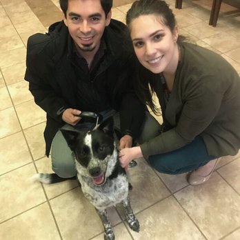 VCA University Veterinary Clinic - Veterinarians Near Me - Fairfax, Virginia VCA University Veterinary Clinic - Veterinarians Near Me - Fairfax, Virginia