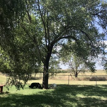 Elk City / Clinton KOA - Dog park - RV Parks Near Me - Foss, Oklahoma