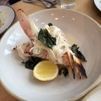 Henrietta Red - Fish collar - New American Near Me - Nashville, Tennessee Henrietta Red - Fish collar - New American Near Me - Nashville, Tennessee