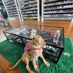 Pennykix