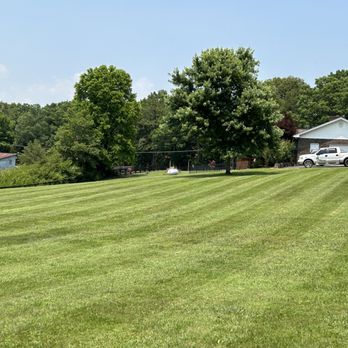 All Things Green - a house in the background - Lawn Services Near Me All Things Green - a house in the background - Lawn Services Near Me