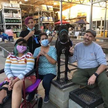 Taggs K9 - Ms. Iris's graduation day !!! - Pet Training Near Me - North Las Vegas, Nevada Taggs K9 - Ms. Iris's graduation day !!! - Pet Training Near Me - North Las Vegas, Nevada
