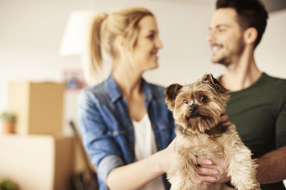 Rjimenez Counseling - grief counselor in Miami, FL