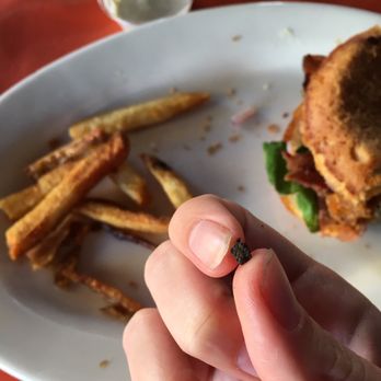 Fire On The Mountain - Here's a closeup of the rock in my fry. The staff suspects that it's from the growing process of the potato - y'know, dirt and stuff. - Chicken Wings Near Me - Denver, Colorado Fire On The Mountain - Here's a closeup of the rock in my fry. The staff suspects that it's from the growing process of the potato - y'know, dirt and stuff. - Chicken Wings Near Me - Denver, Colorado