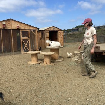 Fox Point Farms - Biles the goat - Venues & Event Spaces Near Me - Encinitas, California Fox Point Farms - Biles the goat - Venues & Event Spaces Near Me - Encinitas, California