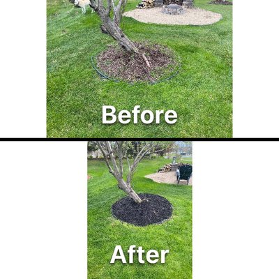 Tree Planting - We'll recommend the most suitable shade, fruit and ornamental trees for your property. Tree Planting - We'll recommend the most suitable shade, fruit and ornamental trees for your property.
