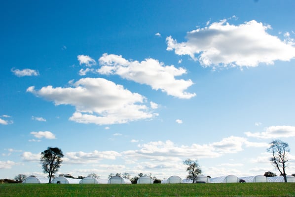 Blue Moon Acres Buckingham, PA by null