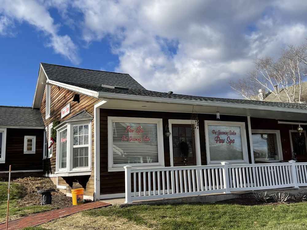 PAW SPA AVON Updated October 2024 12 Photos 136 Simsbury Rd, Avon