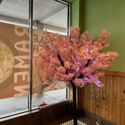 Kyoto Ramen