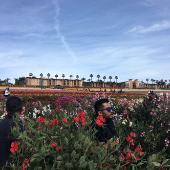 The Flower Fields - Venues & Event Spaces Near Me - Carlsbad, California