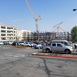 Loma Linda University Health
