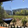 Photo of Martin Ranch Winery