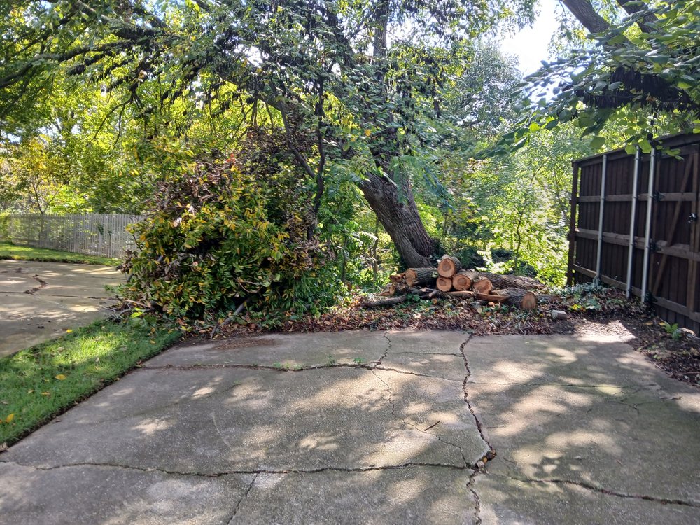 Ramos Tree Service - tree service in Dallas, TX