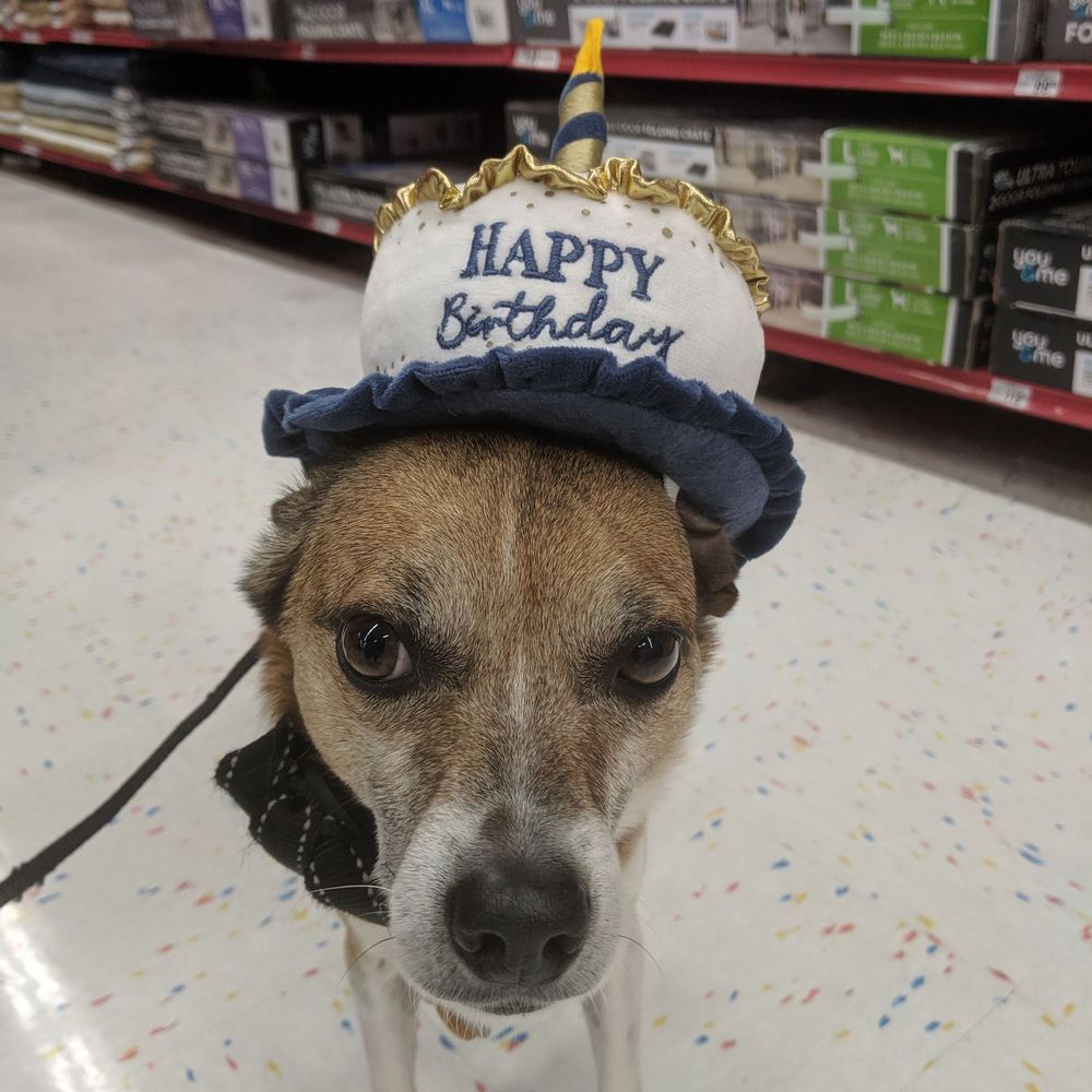Petco - Getting our buddy Chili D. his birthday present - Pet Stores Near Me - Eureka, California