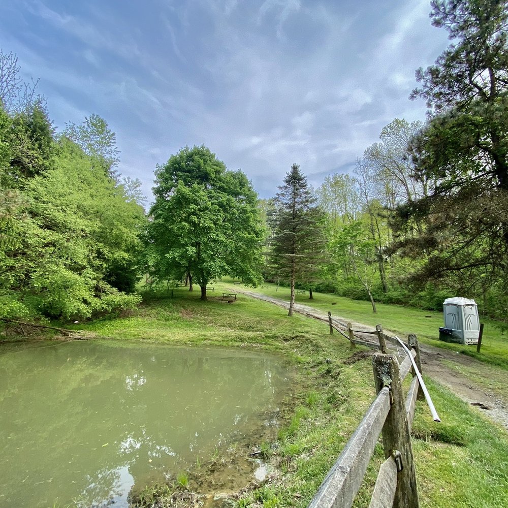 Bear Run Campground - Primitive camp site - Campgrounds Near Me - Portersville, Pennsylvania
