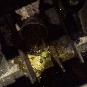 AMC Tyler Galleria 16 - Not cleaned properly between showings. Stank like jalapeños. - Cinema Near Me - Riverside, California