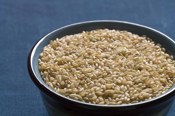 Blue Moon Acres Buckingham, PA by null