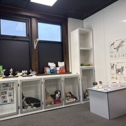 Curious Kids' Museum