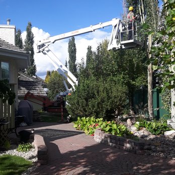 Grinders Tree Service - Our 70 foot spider lift can fit into the tightest back yard - Tree Services Near Me - Blackfalds, Alberta Grinders Tree Service - Our 70 foot spider lift can fit into the tightest back yard - Tree Services Near Me - Blackfalds, Alberta