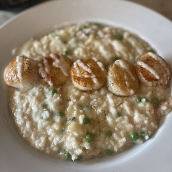Grotto - George's banks scallops and English pea and crab risotto - Italian Near Me - Syracuse, New York Grotto - George's banks scallops and English pea and crab risotto - Italian Near Me - Syracuse, New York