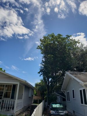 Turney Tree Service on Yelp